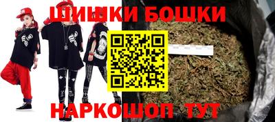 шишки Изобильный