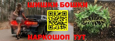 шишки Изобильный