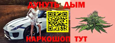 шишки Изобильный