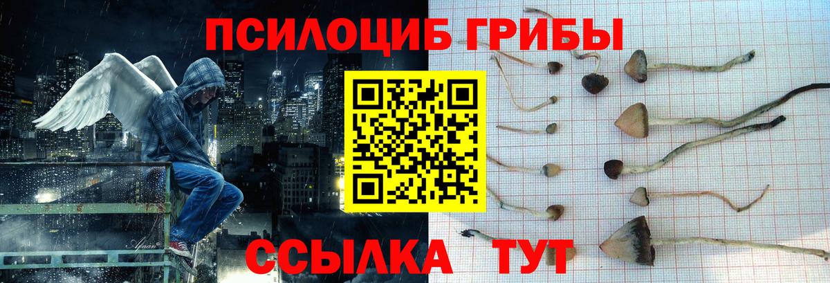 Бирск  Галлюциногенные грибы GOLDEN TEACHER  Псилоцибиновые грибы Psilocybe  Вход с VPN 
